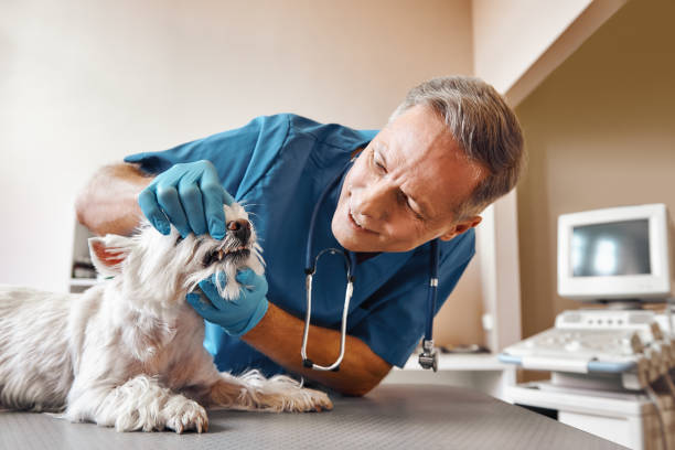 Best Cracked Tooth Emergency Dentist  in Rockdale, TX